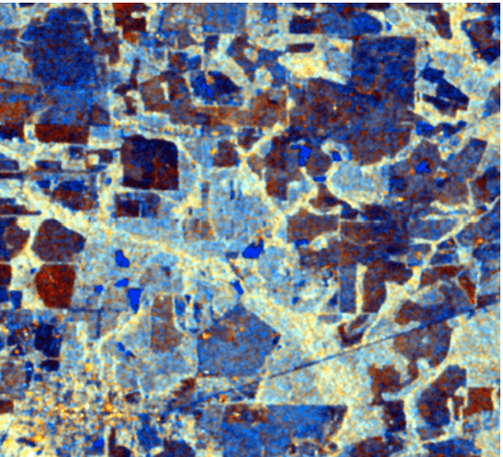 Sample SARbee all-weather radar condition mapping report