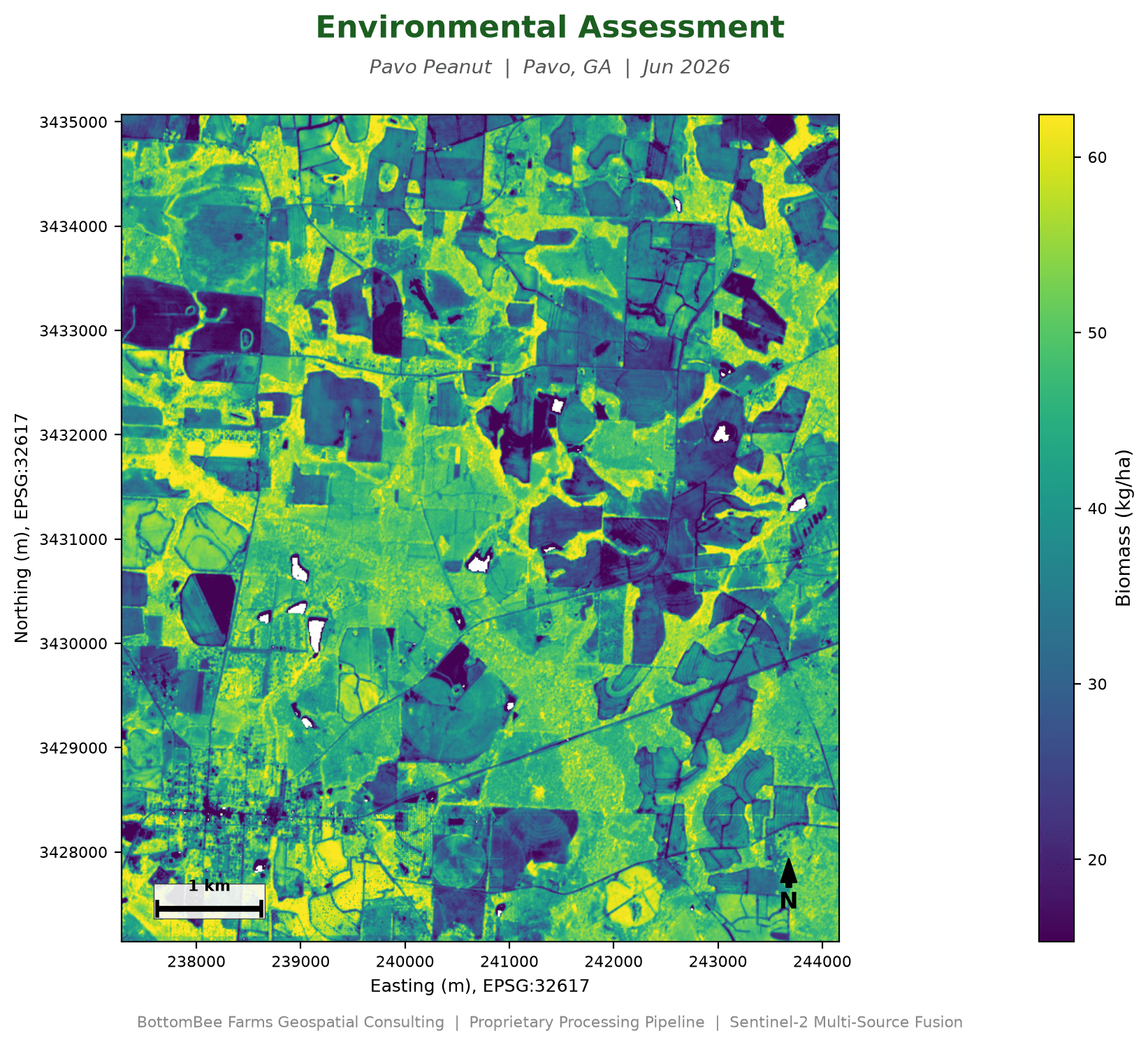 Sample TerraBee biomass (kg/ha) map, Pavo Peanut, Pavo GA
