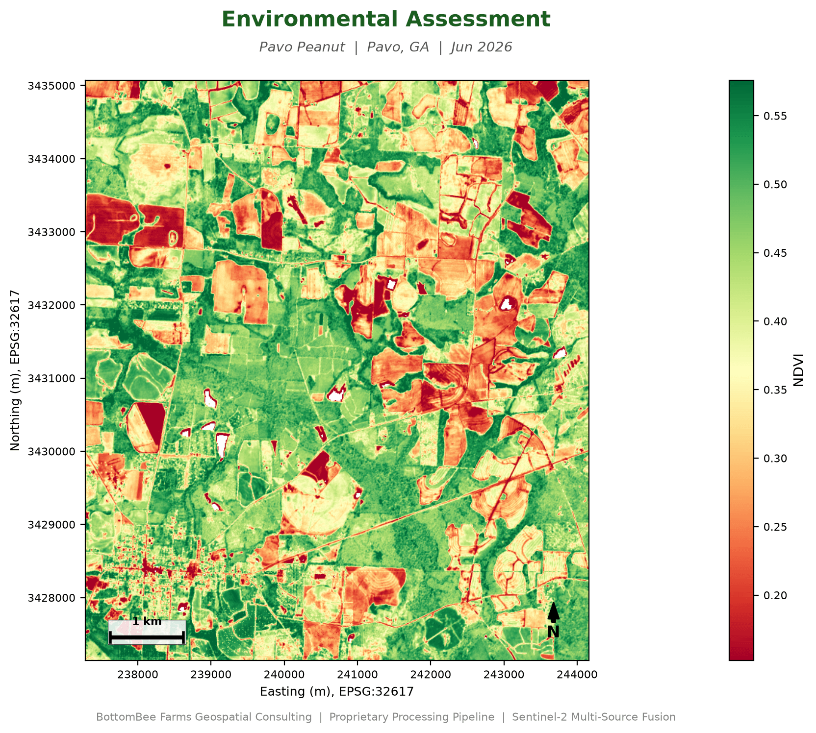 Sample TerraBee NDVI vegetation map, Pavo Peanut, Pavo GA