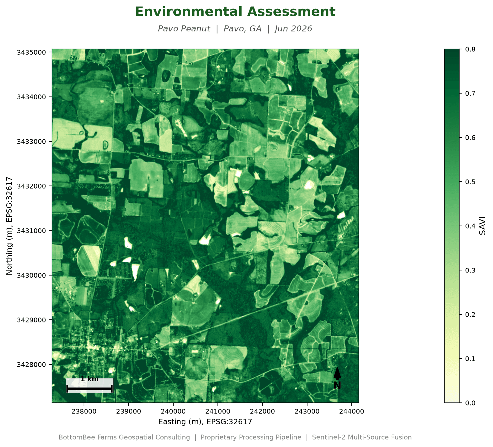 Sample TerraBee SAVI vegetation map, Pavo Peanut, Pavo GA